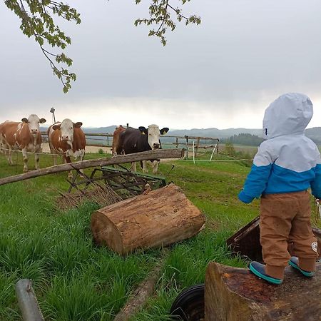 Ferienwohnung Im Muehlviertler Panorama Vierseithof Lembach im Muhlkreis Luaran gambar